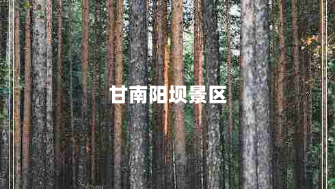 甘南陽壩景區(qū)