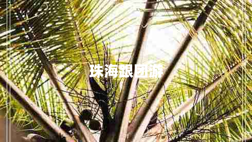 珠海跟團(tuán)游