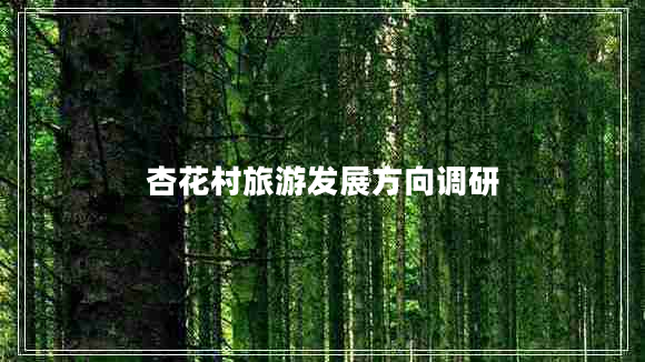 杏花村旅游發(fā)展方向調研
