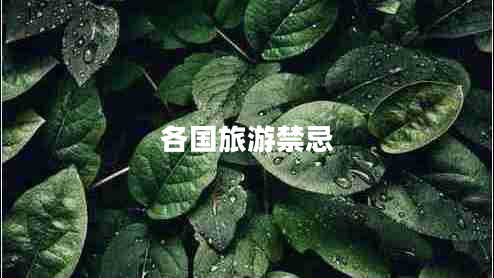 各國(guó)旅游禁忌