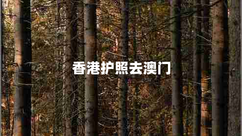 香港護照去澳門