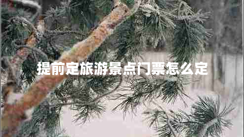 提前定旅游景點(diǎn)門(mén)票怎么定
