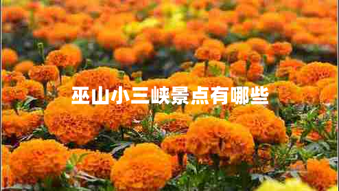 巫山小三峽景點(diǎn)有哪些