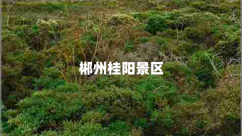 郴州桂陽(yáng)景區