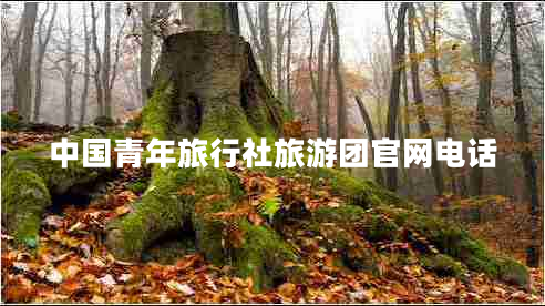 中國青年旅行社旅游團(tuán)官網(wǎng)電話