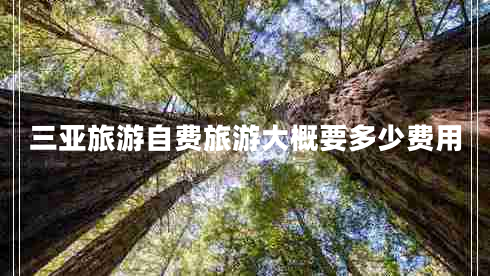 三亞旅游自費(fèi)旅游大概要多少費(fèi)用