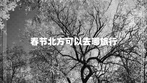 春節(jié)北方可以去哪旅行