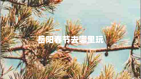 岳陽(yáng)春節(jié)去哪里玩