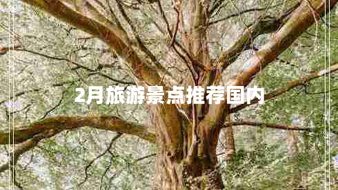 2月旅游景點(diǎn)推薦國(guó)內(nèi)