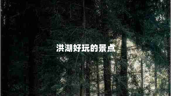 洪湖好玩的景點