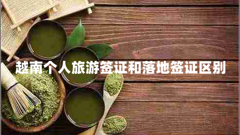 越南個人旅游簽證和落地簽證區(qū)別