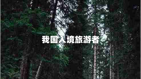 我國(guó)入境旅游者