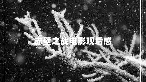 赤壁之戰(zhàn)電影觀后感