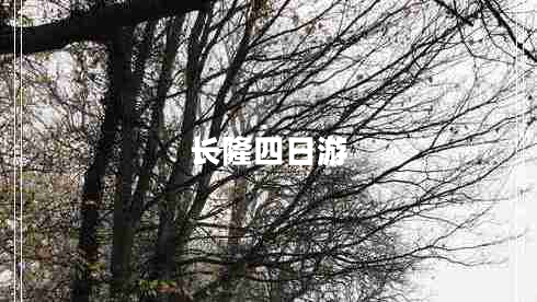 長(cháng)隆四日游