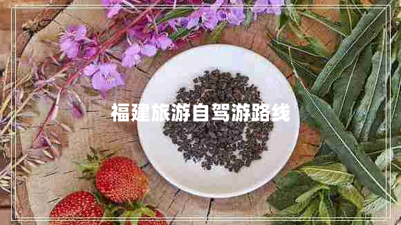 福建旅游自駕游路線(xiàn)