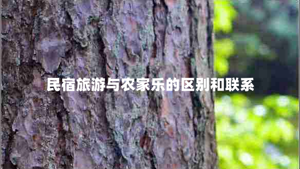 民宿旅游與農家樂(lè )的區別和聯(lián)系