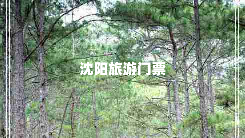 沈陽(yáng)旅游門(mén)票