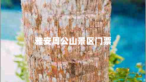 雅安周公山景區門(mén)票