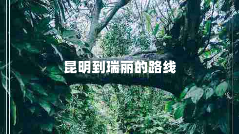 昆明到瑞麗的路線
