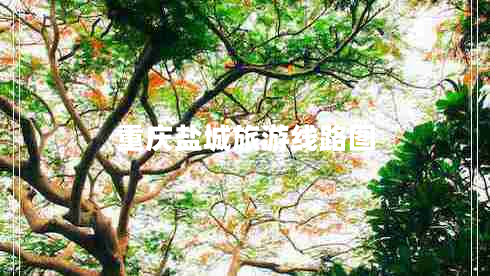 重慶鹽城旅游線(xiàn)路圖