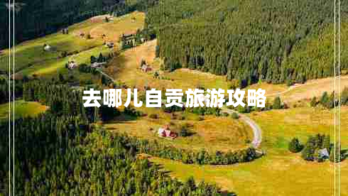 去哪兒自貢旅游攻略