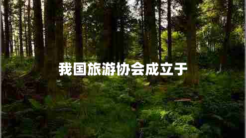 我國(guó)旅游協(xié)會(huì)成立于