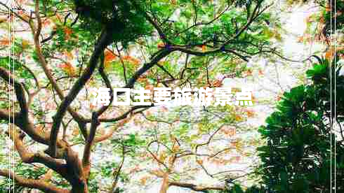 ?？谥饕糜尉包c(diǎn)