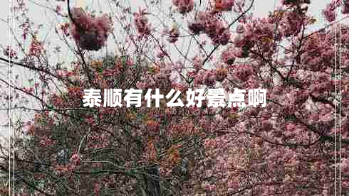 泰順有什么好景點啊