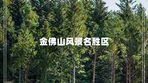 金佛山風景名勝區(qū)