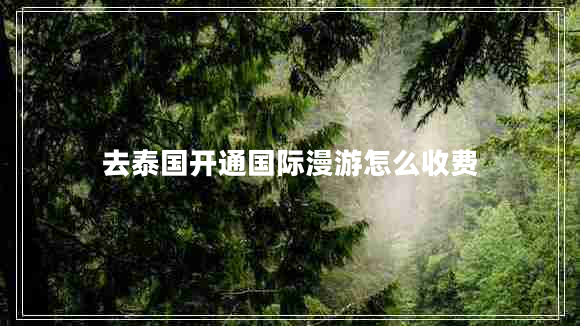 去泰國開通國際漫游怎么收費