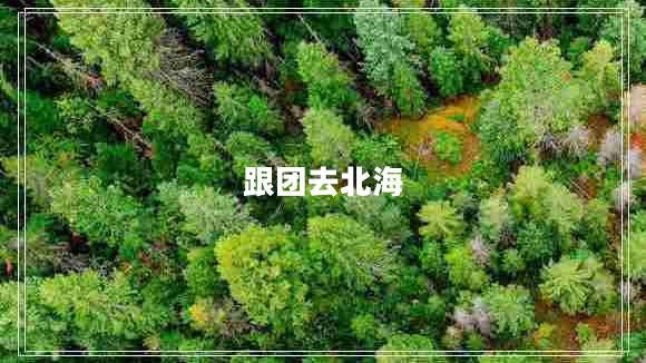 跟團(tuán)去北海