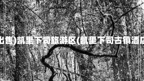 出售)凱里下司旅游區(凱里下司古鎮酒店