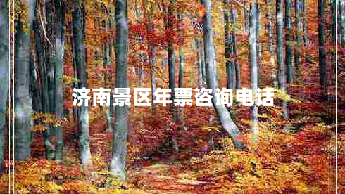 濟(jì)南景區(qū)年票咨詢電話