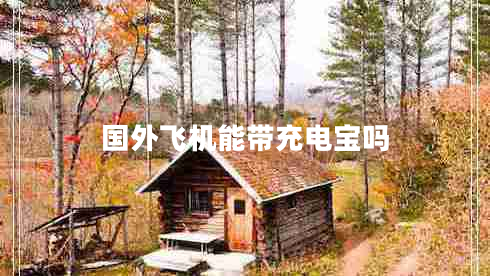 國外飛機能帶充電寶嗎