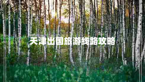 天津出國旅游線(xiàn)路攻略