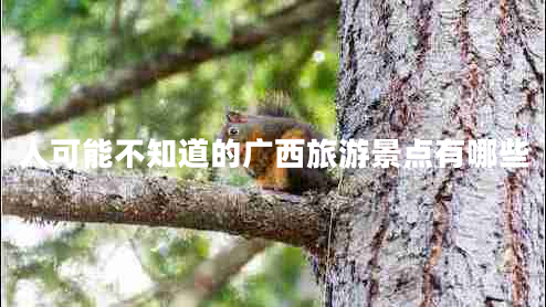 人可能不知道的廣西旅游景點有哪些