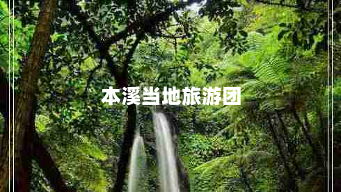 本溪當?shù)芈糜螆F