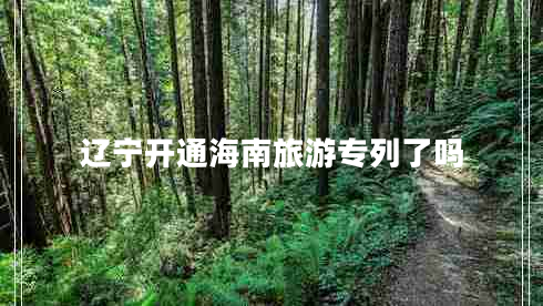 遼寧開(kāi)通海南旅游專(zhuān)列了嗎