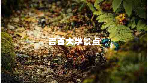 吉首大學(xué)景點(diǎn)