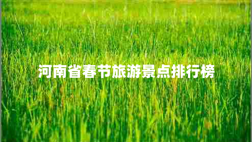 河南省春節旅游景點(diǎn)排行榜