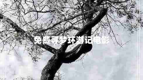 免費尋夢環(huán)游記電影