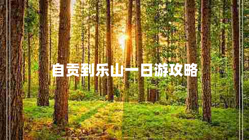 自貢到樂(lè )山一日游攻略