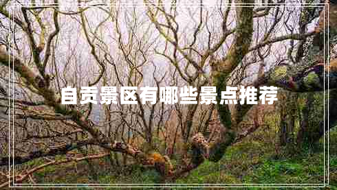 自貢景區有哪些景點(diǎn)推薦