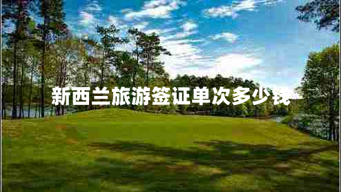 新西蘭旅游簽證單次多少錢(qián)