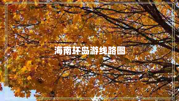 海南環(huán)島游線路圖
