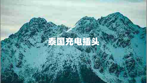 泰國(guó)充電插頭