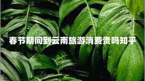 春節(jié)期間到云南旅游消費貴嗎知乎