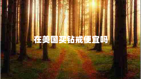在美國(guó)買鉆戒便宜嗎
