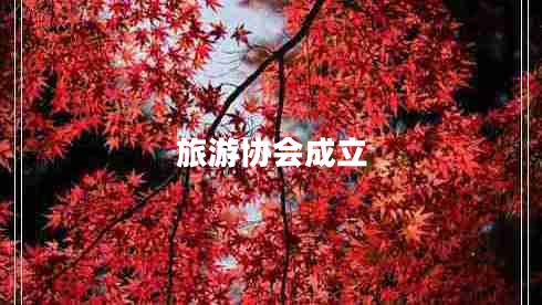 旅游協(xié)會成立