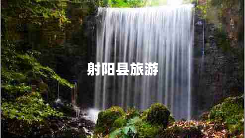 射陽(yáng)縣旅游